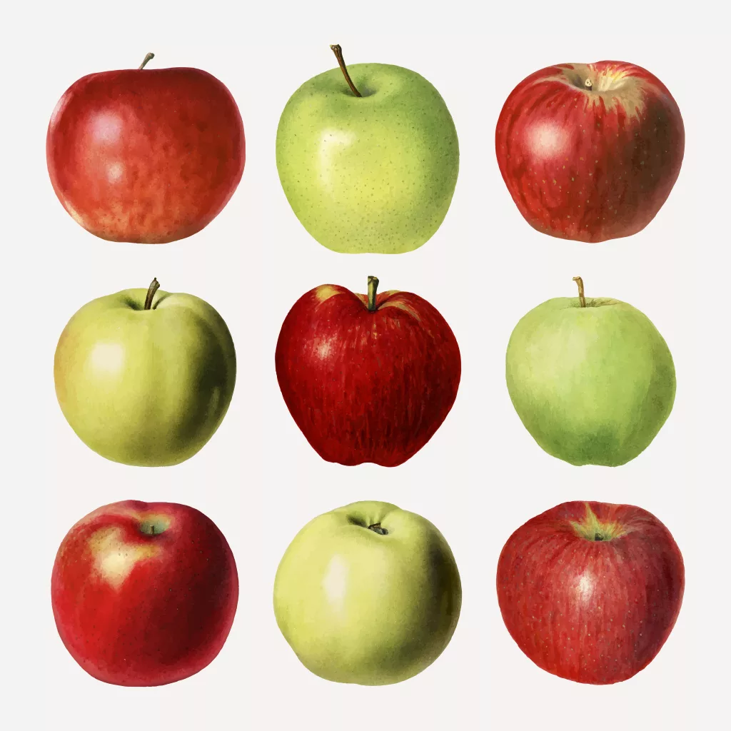 Different kinds of apples